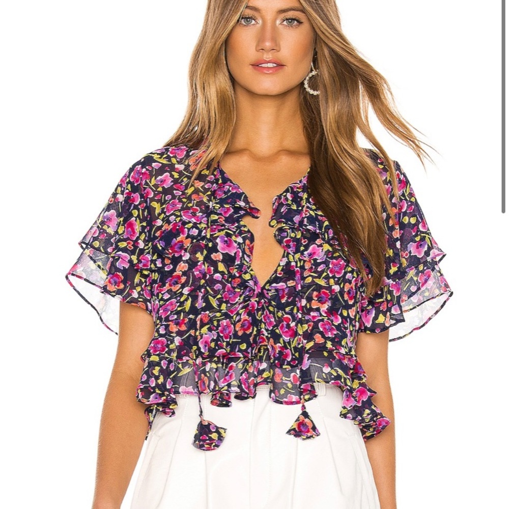 Misa Los Angeles Crop Top - worn once